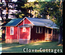 Clove Cottages - High Falls, NY